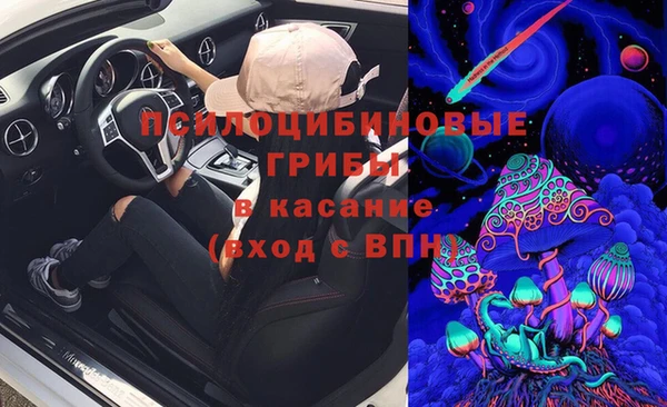 крисы Белокуриха