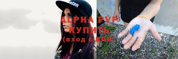 крисы Белокуриха