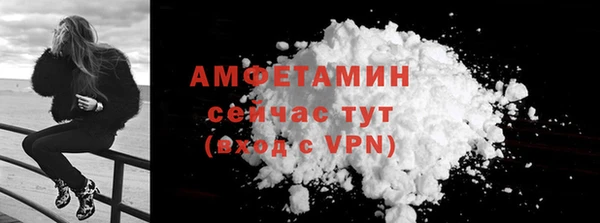 стаф Ростов