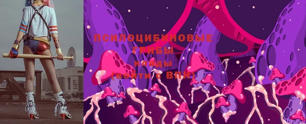 крисы Белокуриха