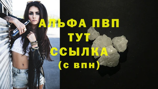 крисы Белокуриха