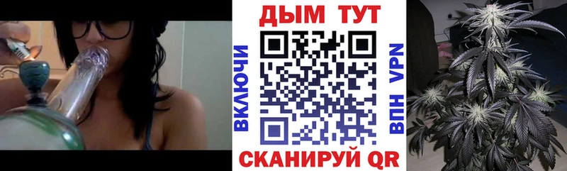 Бошки Шишки планчик  гидра ТОР  Шахты 